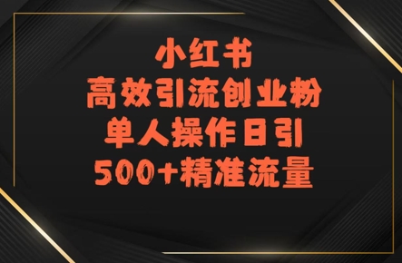 小红书高效引流创业粉，单人操作日引500+精准流量-老菜鸟