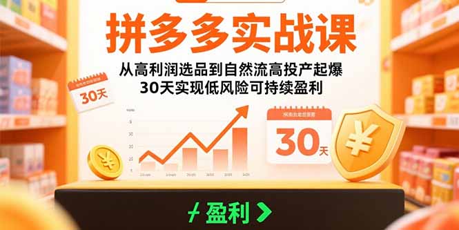 拼多多实战课：从高利润选品到自然流高投产起爆 30天实现低风险可持续盈利-老菜鸟