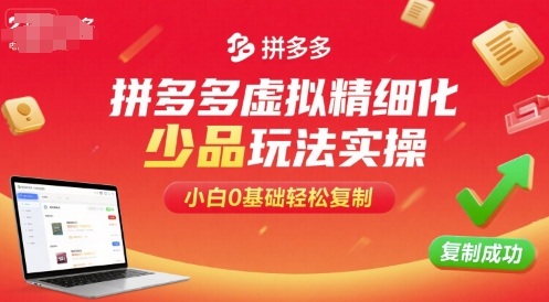 拼多多虚拟精细化少品玩法实操，小白0基础轻松复制-老菜鸟