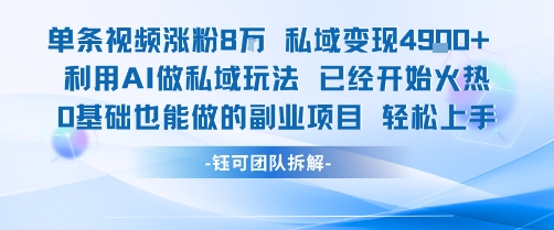 单条视频私域变现4.9k+利用AI做私域玩法 已经开始火热0基础也能做的副业项目轻松上手-老菜鸟