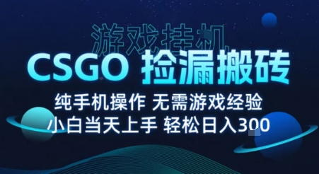 8月最新游戏搬砖，CSGO纯挂G，不需要玩游戏，实现真挂G，月入1W+-老菜鸟