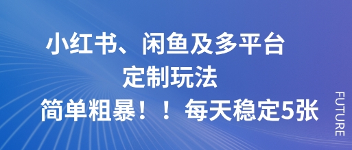 小红书、闲鱼及多平台定制玩法简单粗暴！每天稳定500+-老菜鸟