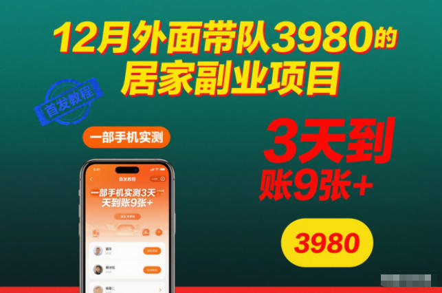 12月外面带队3980的居家副业项目，一部手机实测3天到账9张+，首发教程-老菜鸟