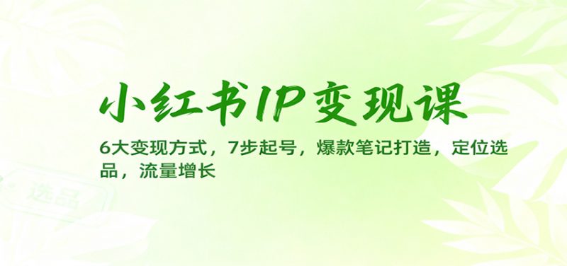 小红书IP变现课:6大变现方式,7步起号,爆款笔记打造,定位选品,流量增长-老菜鸟
