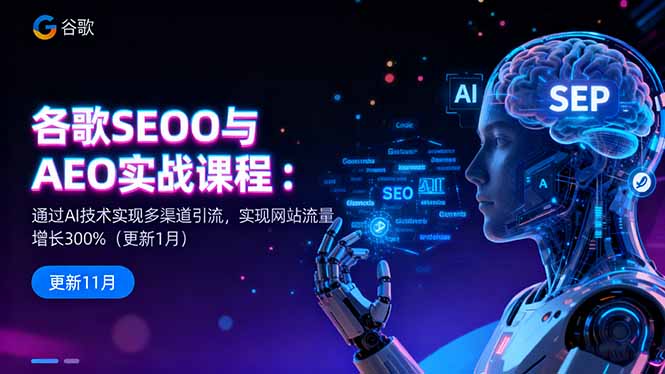 谷歌SEO与AEO实战课程：通过AI技术实现多渠道引流，实现网站流量增长300%-老菜鸟