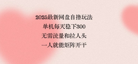 2025最新网盘自撸玩法，单机每天稳下300+，无需流量和拉人头，一个人就可轻松矩阵，全网独一份-老菜鸟