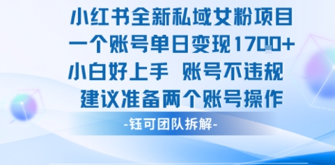 小红书全新私域女粉项目 单日变现1k+ 小白好上手账号不违规-老菜鸟