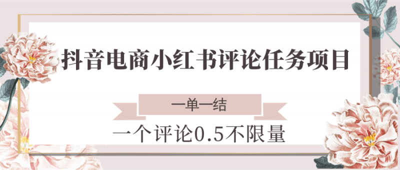 抖音电商小红书评论任务项目，一个评论0.5，一单一结 不限量-老菜鸟