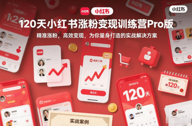 120天小红书涨粉变现训练营Pro版，​精准涨粉，高效变现​，为你量身打造的实战解决方案-老菜鸟