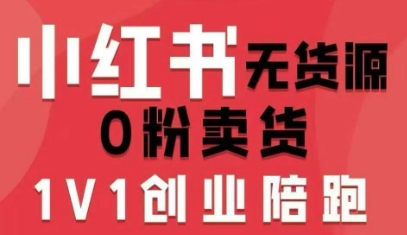小红书无货源0粉电商课，开店准备、选品策略、笔记撰写、视频剪辑、数据分析、账号打造、资料文档-老菜鸟