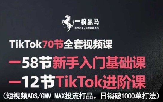 TikTok全套视频课，新手入门+进阶课，短视频ADS-GMV MAX投流打品，日销破1000单打法-老菜鸟