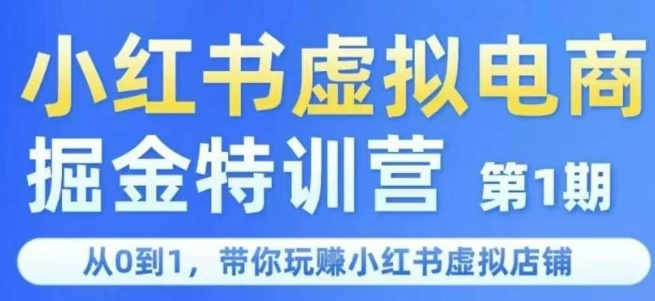 小红书虚拟电商掘金特训营第1期，从0到1，带你玩转小红书虚拟店铺-老菜鸟
