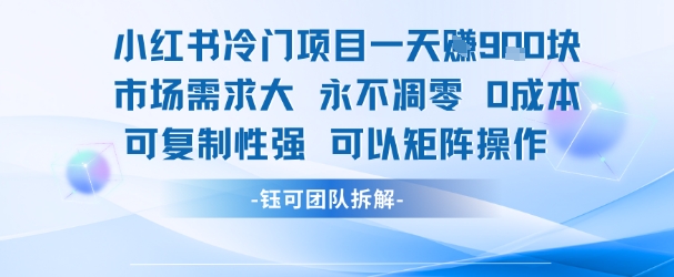 小红书冷门项目一天收益9张，市场需求大，0成本，可复制性强可以矩阵操作-老菜鸟