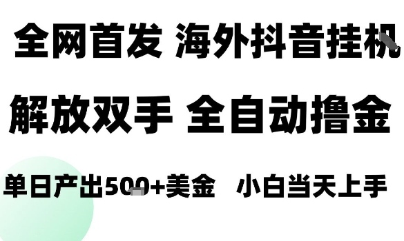 海外抖音无人直播，单日产出1.5k+，长期稳定，新手可玩，无脑操作-老菜鸟