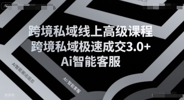 跨境私域线上高级课程，跨境私域极速成交3.0+Ai智能客服-老菜鸟