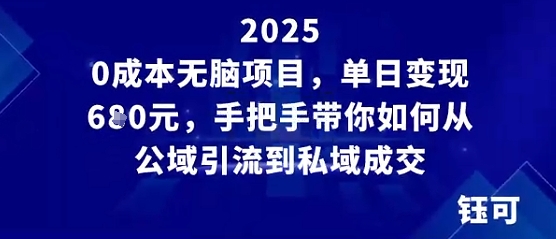 0成本无脑项目，单日变现多张，手把手带你如何从公域引流到私域成交-老菜鸟