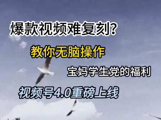 视频号4.0重磅上线，爆款视频难复刻？教你无脑操作宝妈学生党的福利-老菜鸟