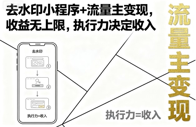 去水印小程序+流量主变现，收益无上限，执行力决定收入-老菜鸟