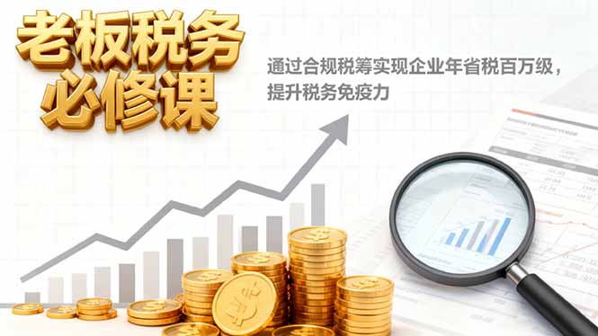 老板税务必修课，通过合规税筹实现企业年省税百万级，提升税务免疫力-老菜鸟