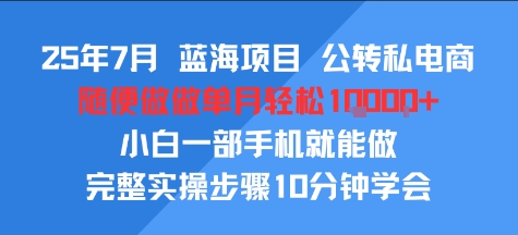 25年7月蓝海项目，公转私电商，随便做做单月轻松1w，小白一部手机就能做，完整实操步骤10分钟学会-老菜鸟