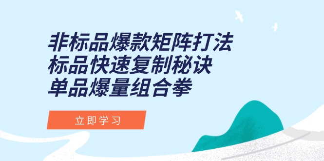非标品爆款矩阵打法，标品快速复制秘诀，单品爆量组合拳-老菜鸟