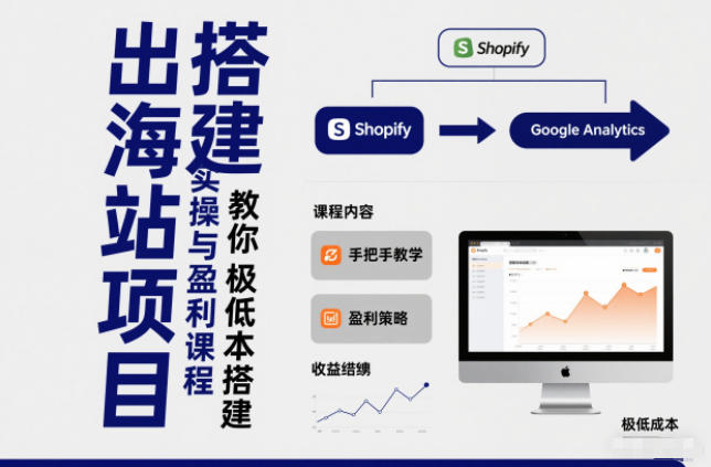 小淘出海站项目，搭建实操与盈利课程，手把手教你用极低成本搭建-老菜鸟