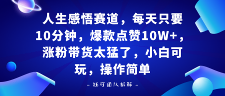 人生感悟赛道，每天只要十分钟，爆款点赞10W+，涨粉带货太猛了，小白可玩，操作简单-老菜鸟