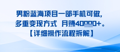 8月新男粉蓝海项目一部手机可做，多重变现方式 月入4W+【详细操作流程拆解】-老菜鸟