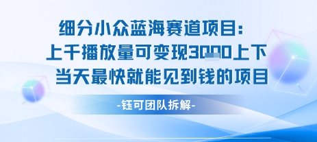 小众蓝海赛道项目：当天变现1k+适合新手操作 +适合长期玩-老菜鸟