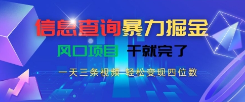 信息查询暴力掘金，一天三条视频，轻松变现四位数，风口项目干就完了-老菜鸟