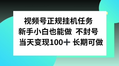 视频号正规挂播任务，有手就行不违规，轻松日入1张-老菜鸟
