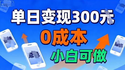 适合新手起步，零成本就能做，当天操作当天见收益，还能无限复制放大的项目-老菜鸟