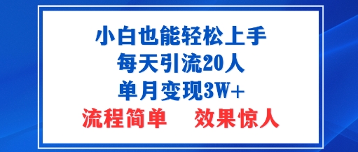 小白也能轻松上手的宝妈项目，每天引流20人，单月变现3W+，流程简单，效果惊人-老菜鸟