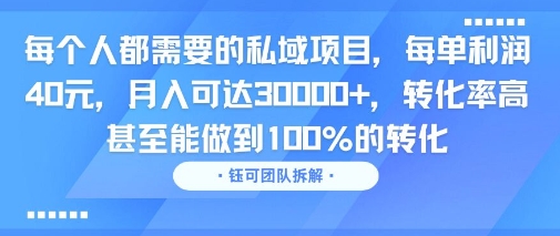 每个人都需要的私域项目，每单利润40米，月入可达3W+，转化率高 甚至能做到100%的转化-老菜鸟