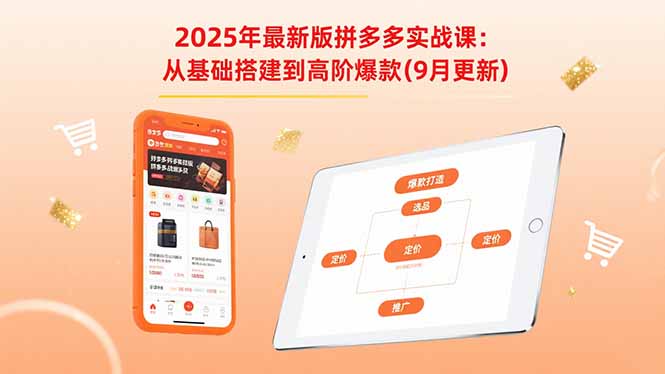 2025年最新版拼多多实战课：从基础搭建到高阶爆款（9月更新）-老菜鸟