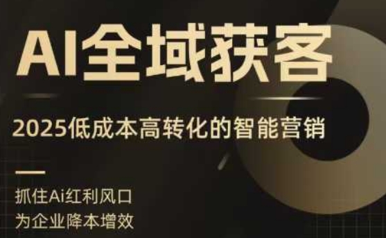 AI全域获客实训营，2025低成本高转化的智能营销，精准找客，高效营销-老菜鸟
