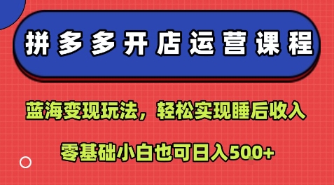 拼多多开店运营课程：蓝海变现玩法，轻松实现睡后收入，零基础小白也可日入500+-老菜鸟