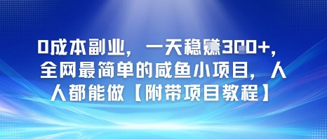 0成本副业，一天稳入3张，全网最简单的咸鱼小项目，人人都能做【附带项目教程】-老菜鸟