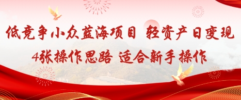 低竞争小众蓝海项目，轻资产日变现4张的操作思路适合新手操作-老菜鸟